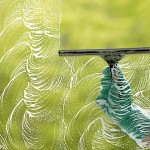 DETERSIVI AUTOPRODOTTI PER VETRI: LAVAGGIO ECOLOGICO DELLE FINESTRE