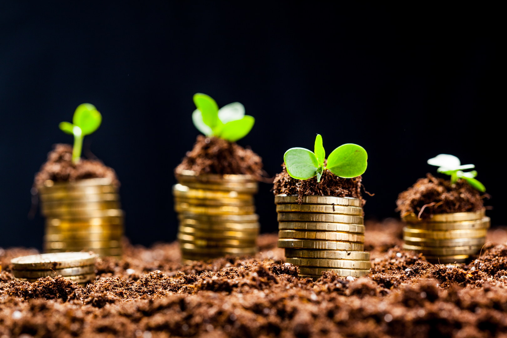 Scoprire opportunita di risparmio